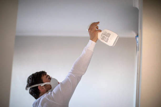 Office Mold Removal Services in Greenfield, IN
