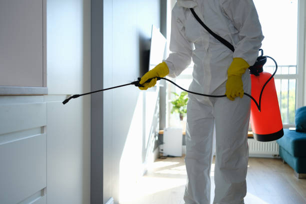 Best Black Mold Removal  in Greenfield, IN