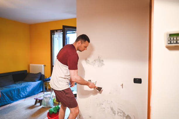 Best Water Damage Restoration  in Greenfield, IN